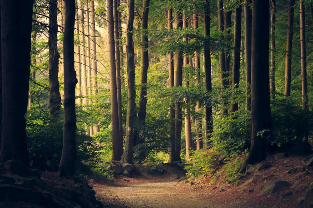Sustentabilidade Produtiva